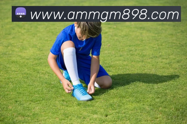 美高梅mgm平台生态图